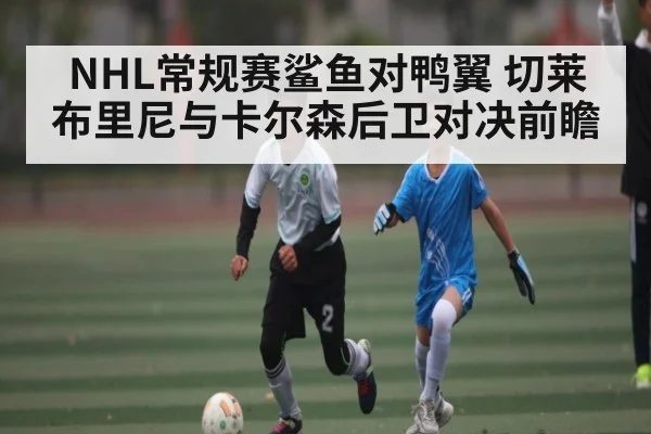 NHL常规赛鲨鱼对鸭翼 切莱布里尼与卡尔森后卫对决前瞻